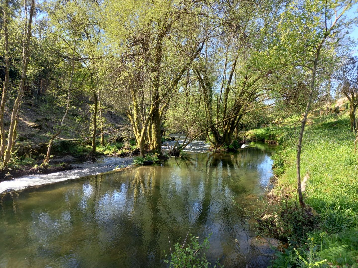 Balc&atilde;o Virtual