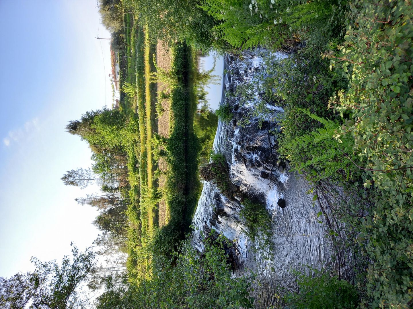 Balc&atilde;o Virtual